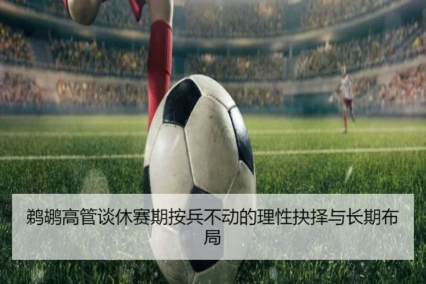 鹈鹕高管谈休赛期按兵不动的理性抉择与长期布局
